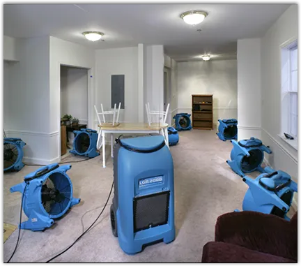 Water Mitigation Services in Prairie Grove, AR