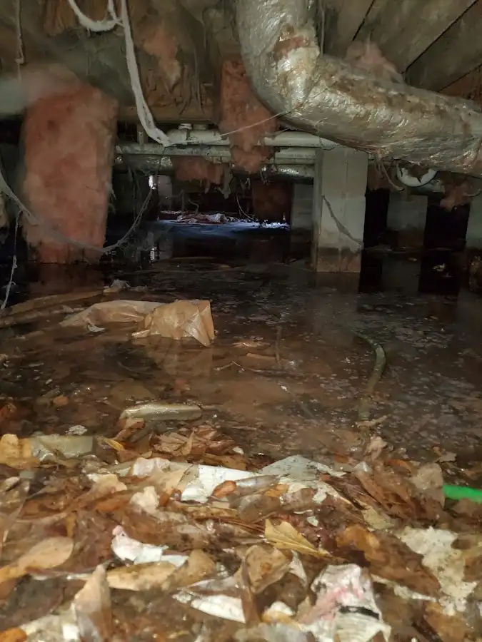 Crawl space flood assessment for Leak Detection & Repair in Prairie Grove